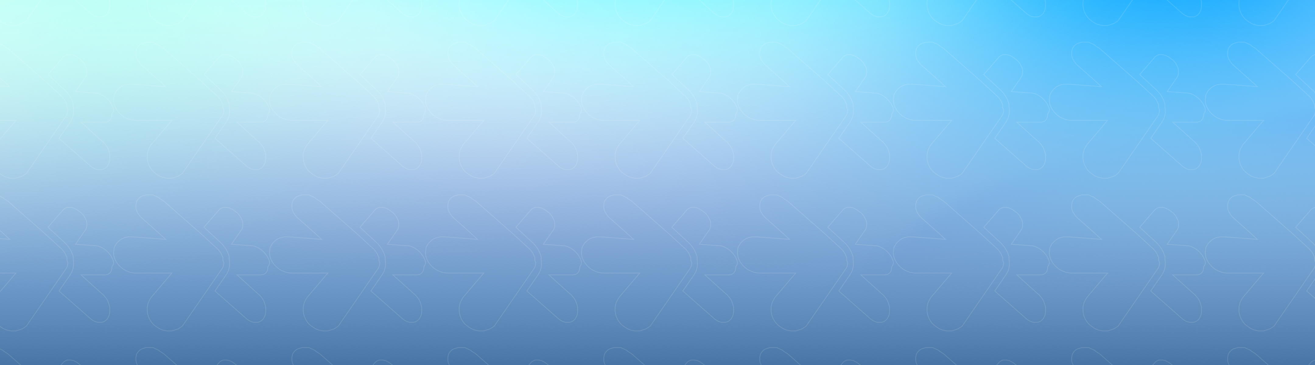 Company Banner