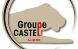 Castel Group Algerie - Administrateur Système national