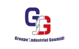 Groupe Industriel Goumidi SPA - Comptable analytique